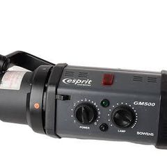 Bowens Gemini 500 Watt x 2 with trigger