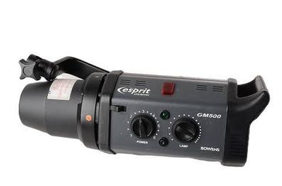 Bowens Gemini 500 Watt x 2 with trigger