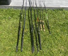 fishing
