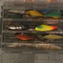 Fishing Image 6