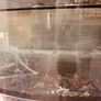 Large Fish Tank Image 3
