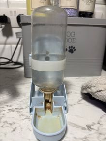 Self dispensing water bottle