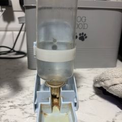 Self dispensing water bottle