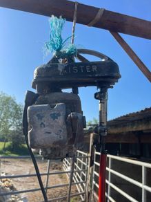 Excellent : Lister Sheep shearing machine