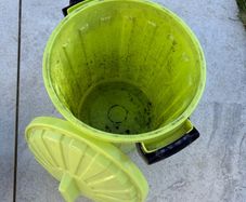 FREE nappy bin