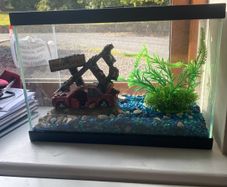 fish tank