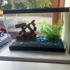 fish tank