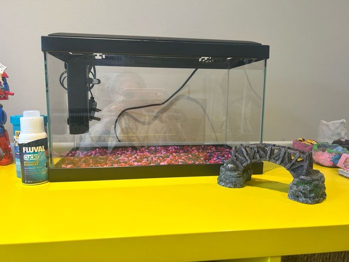 fish tank