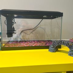 fish tank