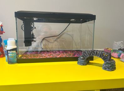 fish tank