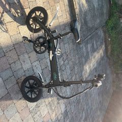 Fiido d2 electric bike