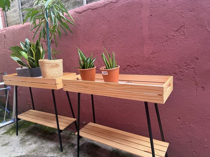 plant shelfs 2x including plants
