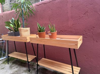 plant shelfs 2x including plants