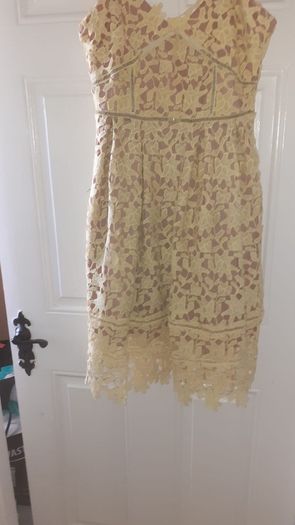 BNWT Cari's Closet Dress
