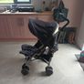 buggy Image 2
