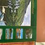 Connemara high quality new table mats boxed Image 2