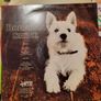 Brendan Shine Rose of Castlerea vinyl album Image 2