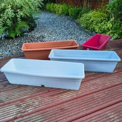 Four large window boxes