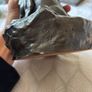 Famouse sculpture Image 4