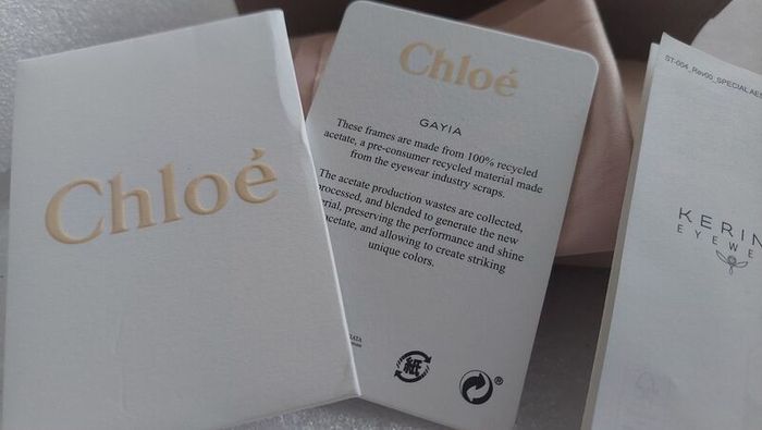 An Unrivalled Investment in High Fashion  The Chloe Gayia