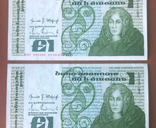 Two irish one pound punt notes