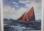 Galway Hooker