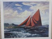 Galway Hooker