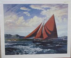 Galway Hooker