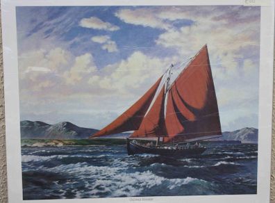 Galway Hooker