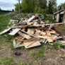 free timber Image 2