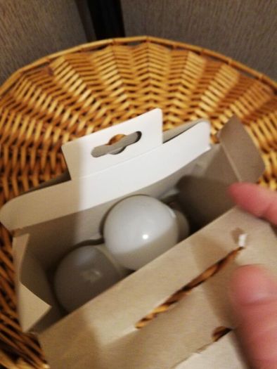 bulbs