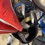 golf bag Image 4