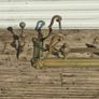 Art Nouveau style cast brass hearth fender with a pair of companion tool holders. Image 7