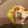 dogs reflective bandana with full collar Image 2