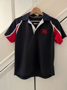 Wesley College sports  boys top
