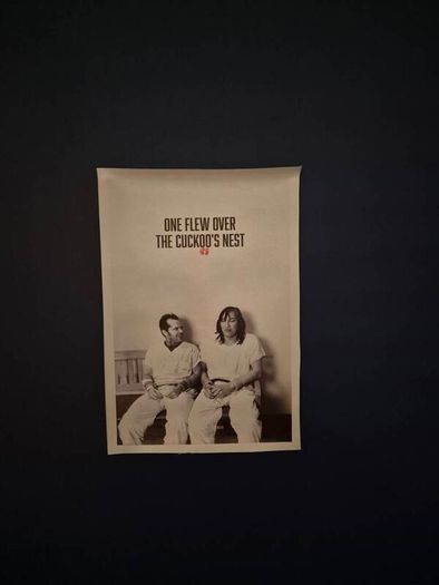 One Flew Over the Cookoos nest Canvas Poster