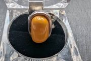 Yellowstone silver solid ring