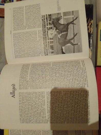 Horse / Equestrian Books