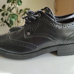 penguin shoes size 6