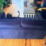 Two seater couch in navy velvet for sale Image 4