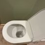 sonas toilet Image 4