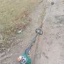 petrol strimmers Image 2