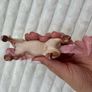Schleich Decorated Unicorn Mare Bayala Fantasy Used Please see pictures Image 6