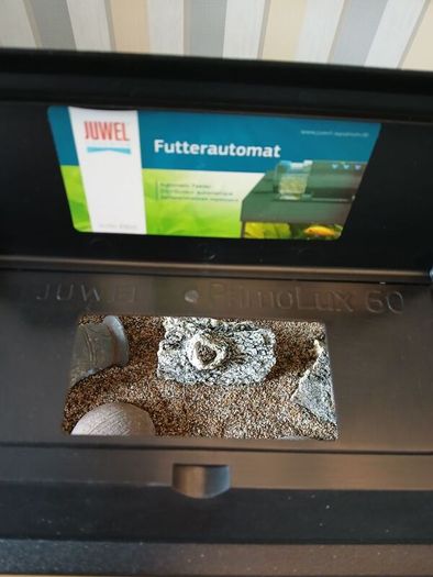 Fish tank for sale