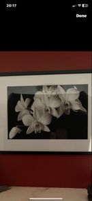 Picture of flowers 24" x 32"