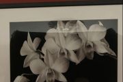 Picture of flowers 24" x 32"