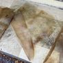 Natural vellum/Parchment skin Image 2