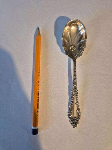 Sterling Silver Spoon