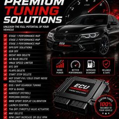 dpf delete egr delete ad blue delete stage 1 remap