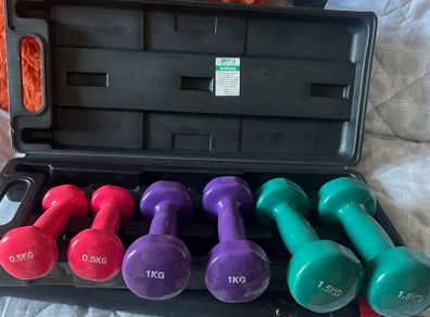 V-Fit Dumb bells set